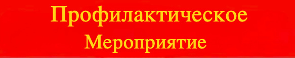 Профилактическое мероприятие